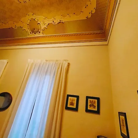 Crociferi CTA